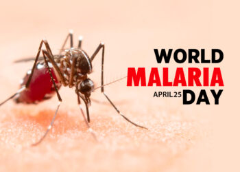 World Malaria Day 2023: Ghana’s effort at eliminating malaria