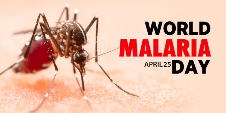 World Malaria Day 2023: Ghana’s effort at eliminating malaria