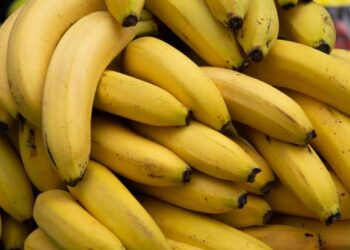 Mozambique authorities seize drugs in banana truck