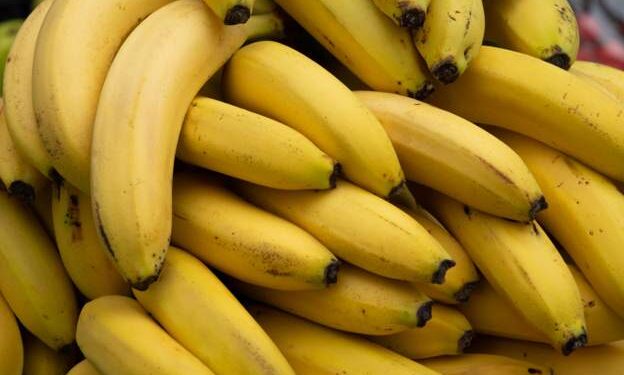Mozambique authorities seize drugs in banana truck