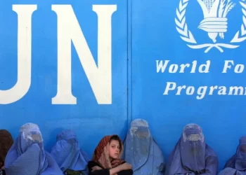 Taliban bans Afghan female staff, UN says