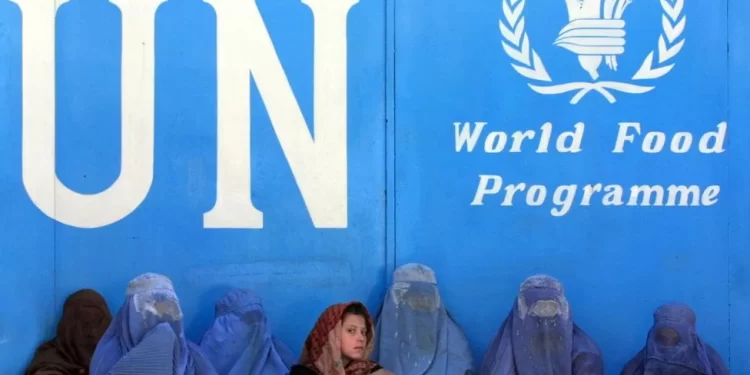 Taliban bans Afghan female staff, UN says