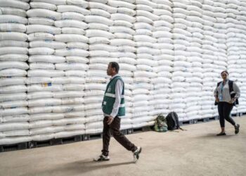 Ethiopia’s Tigray probes food aid theft as WFP halts operations
