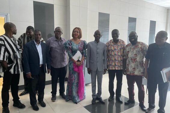 NDC primaries in limbo as EC suspends supervision over Duffuor’s injunction