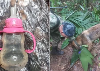 Colombian children found alive in jungle weeks after plane crash