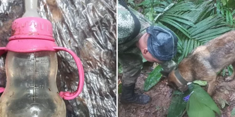 Colombian children found alive in jungle weeks after plane crash