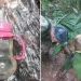 Colombian children found alive in jungle weeks after plane crash