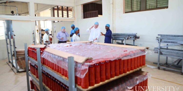 UCC, QUB embark on research to boost Palm Oil production