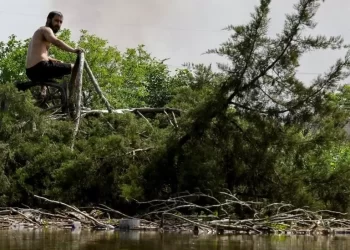 Ukraine dam: Floods devastate tracts of rich farmland
