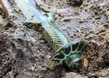 Dazzling ancient bronze sword found in Germany
