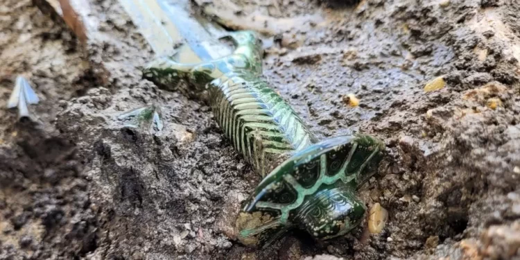 Dazzling ancient bronze sword found in Germany