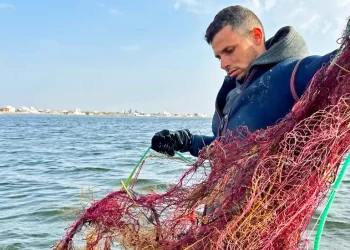 Migrant crisis: Tunisian fisherman finds dead bodies in his net