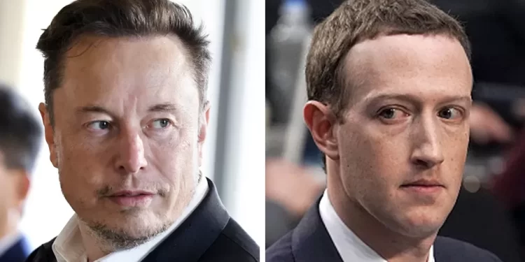 Elon Musk and Mark Zuckerberg agree to hold cage fight