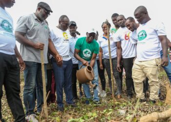 Green Ghana Day: UCC plants about 122,000 plant species