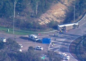Hunter Valley: Ten people killed in wedding bus crash in Australia
