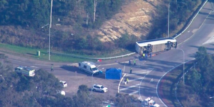 Hunter Valley: Ten people killed in wedding bus crash in Australia