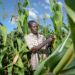 Ghana needs a long term plan for its Agricultural Sector – Prof Hagan, UCC