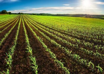 Approach Agriculture in a more scientific way – Prof Julius Hagan