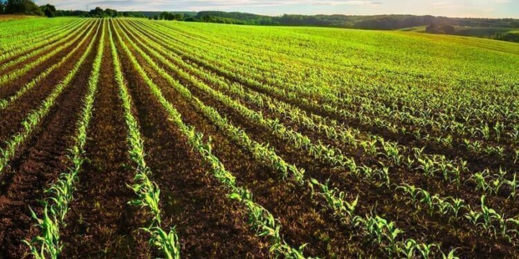 Approach Agriculture in a more scientific way – Prof Julius Hagan