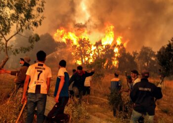 Algerian court sentences 38 for lynching