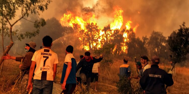 Algerian court sentences 38 for lynching