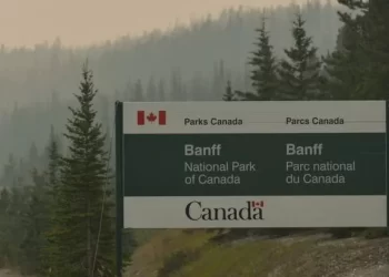 Grizzly bear kills couple and their dog in Canada