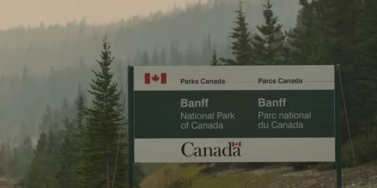 Grizzly bear kills couple and their dog in Canada
