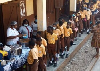 Let’s leverage on homegrown solutions to sustain Ghana’s School Feeding Programme – Agricultural experts