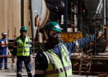 South Africa uncovers coal-smuggling ring