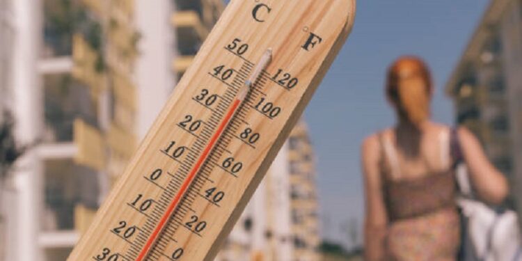 Heatwave warning issued for parts of South Africa