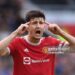 Rejuvenated Harry Maguire wins November EPL Player of the Month