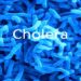 South Africa reports cholera cases from Zimbabwe