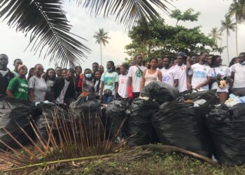 Beach Clean-up Effort Targets Plastic Pollution, Aids in Future Environmental Strategies