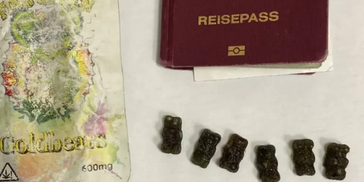 Russia arrests man for carrying cannabis gummy bears