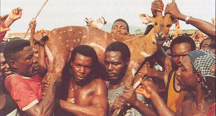 Winneba launches 2024 Aboakyer festival