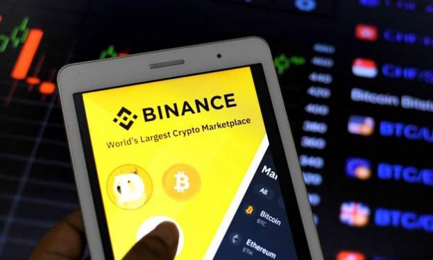 Binance boss escapes Nigerian custody - reports