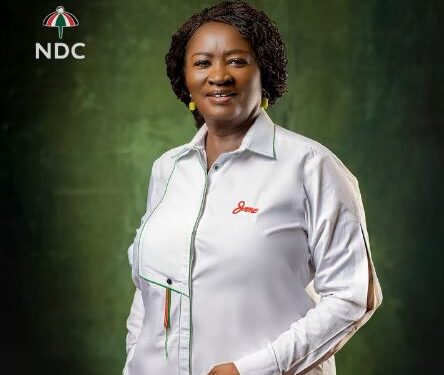 I shall give this noble task everything in me – Naana Jane Opoku-Agyemang