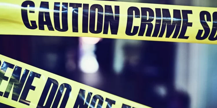 South African student shot dead by stray bullet