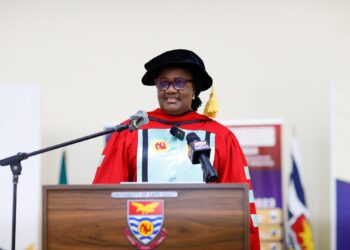 Prof. Edu-Buandoh criticizes use of unparliamentary language in parliament