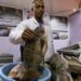 'Let it rot' campaign hits fish prices in Egypt