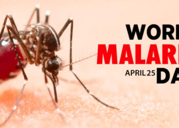 World Malaria Day 2024: Ghana Recommits to Malaria Elimination