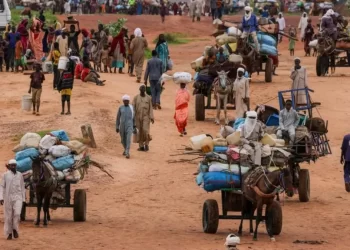 World ignoring risk of Sudan genocide - UN expert