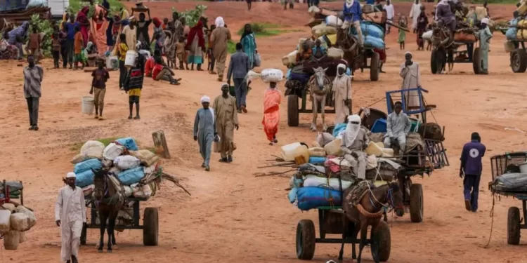 World ignoring risk of Sudan genocide - UN expert