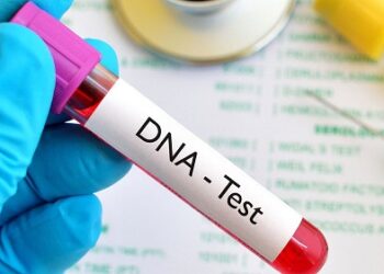 DNA test: doubtful paternity cases on the rise - report