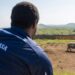Dozens of rescued rhinos freed from South Africa farm