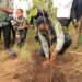 Kenyans plant trees in remembrance of flood victims