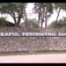Ankaful Psychiatric Hospital designates the month of May as Mental Health Awareness Month