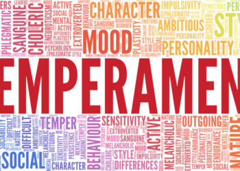 Psychologist Urges Temperament Awareness to Tackle Societal Challenges