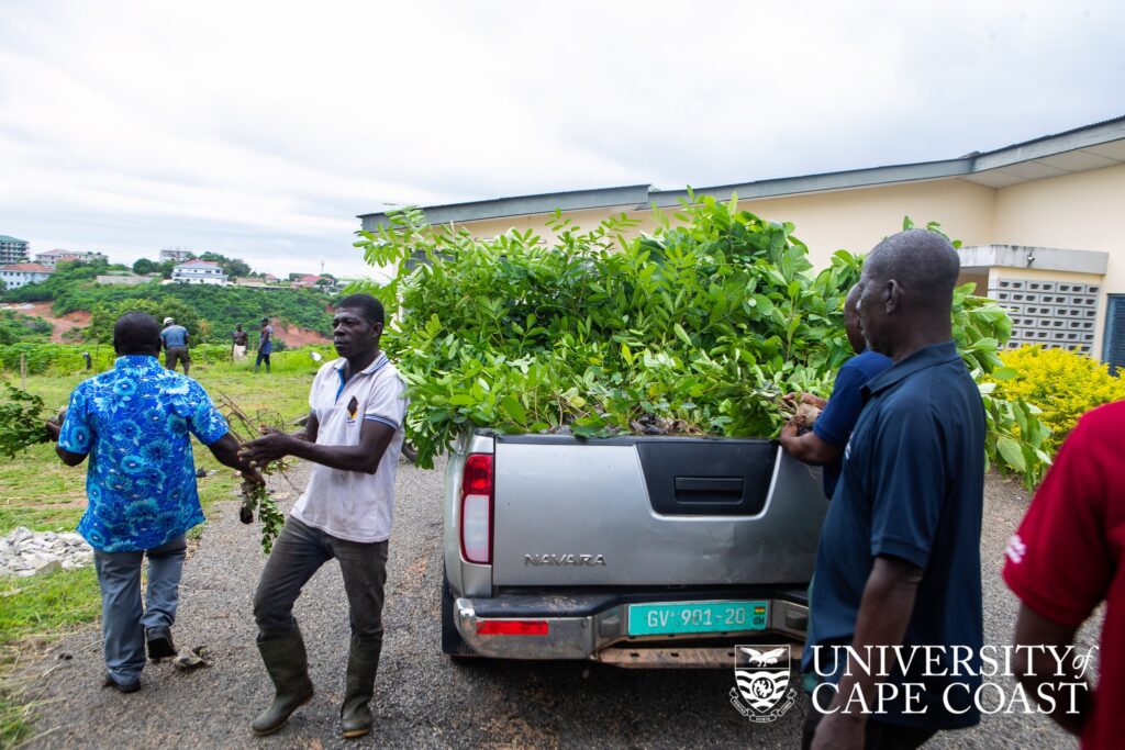 ucc-vc-advocates-more-tree-planting-for-a-greener-future