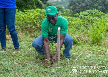 ucc-vc-advocates-more-tree-planting-for-a-greener-future